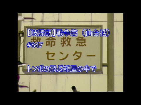 目の錯覚がインターネットを混乱させています – 「最初に 2 匹の犬とその飼い主が見え、その後…」