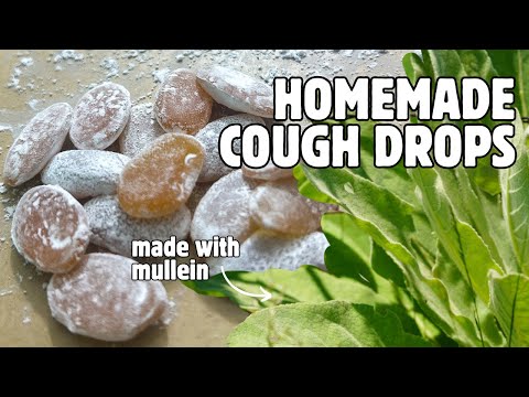 Homemade Herbal Cough Drops | Mint, Mullein & Horehound