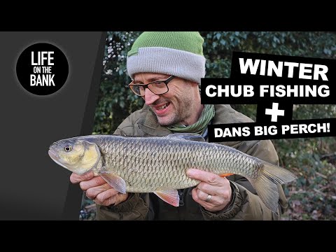 CHUB FISHING IN WINTER