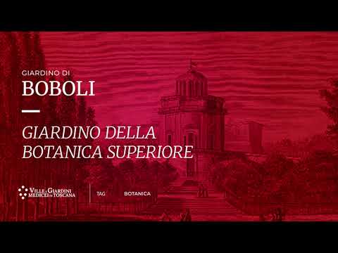 Giardino di Boboli - Giardino della Botanica superiore