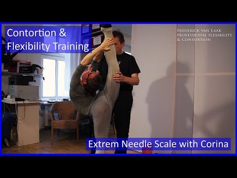 Contortion Training by Flexyart 123: Extreme Needle Scale - Also for Yoga, Pole, Ballet, Dance