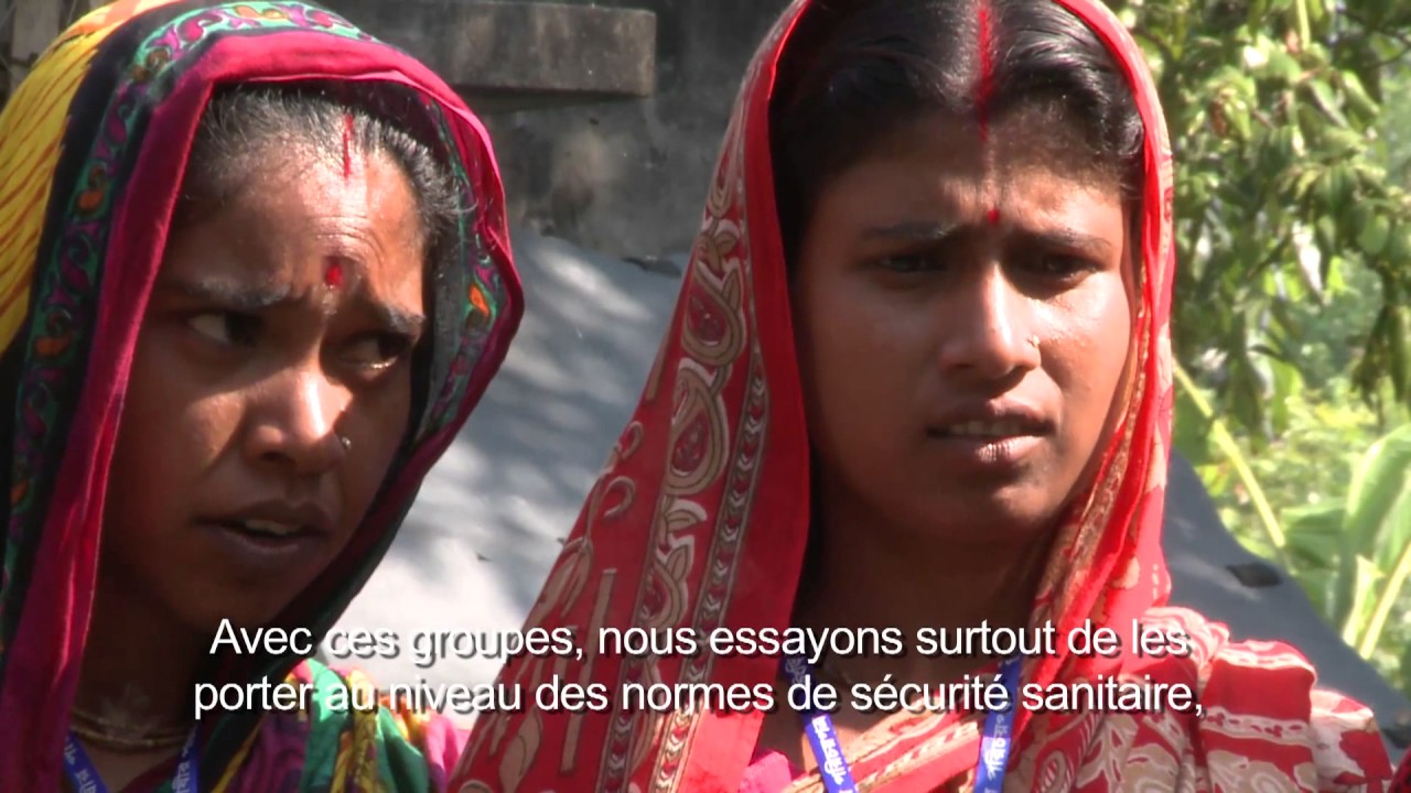 Codex in Bangladesh