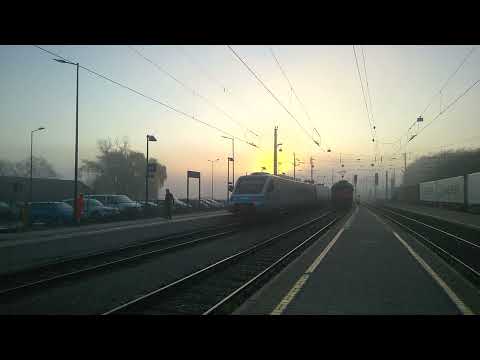 SŽ 310 fährt in Spielfeld-Straß ein | 28.10.2022