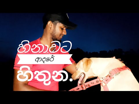 hinawata adare hithuna