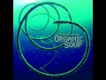 Organic Soup - New School 