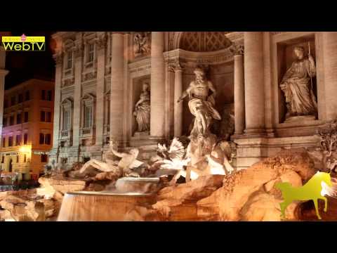 Straight Egyptian Arabian Horse World Championship