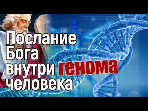 Сенсация: Бог оставил послание внутри генома человека!
