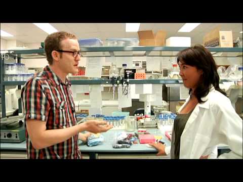 John Safran's Race Relations - sniff test