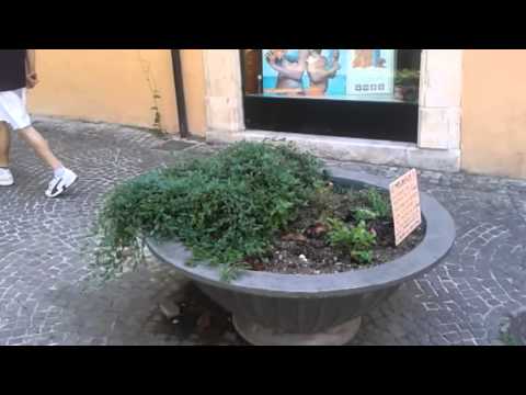 ONDA TG 07.07.2014 - ATTI INCIVILI IN CORSO OVIDIO   PROTESTANO COMMERCIANTI E RESIDENTI