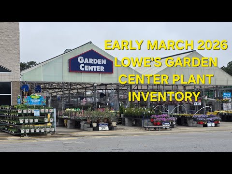 Lowes Shrubs