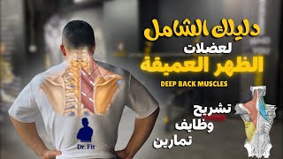 دليلك الشامل للعضلات العميقة للظهر العلوي | Deep muscles of upper back 💪👌✨