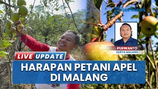 Jelang HUT ke-80 RI, Petani Apel di Malang Ungkap Harapan Mereka