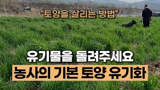 농사의 기본 토양유기화 | 토양을 살리는 방법 #에너지농법 #초생재배 #토양발효제 #볏집멀칭 #낙엽멀칭