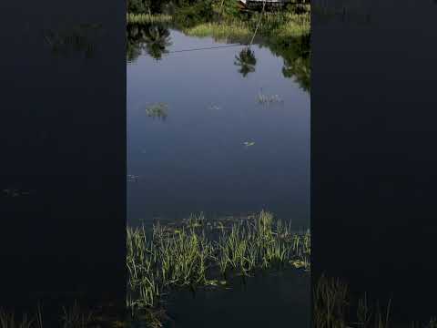 Discover Goa's Hidden Hinterland: Must-Visit Places Beyond the Beaches