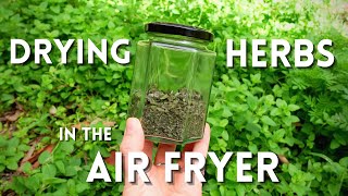 How to Dry Herbs Using an Air Fryer 🌿 Simple Quick Method to Preserve Herbs