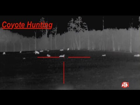 Coyote Hunting: THERMAL IMAGING | Season 1 - Ep. 2 Video