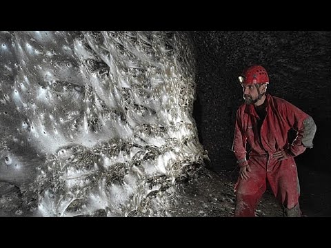 Video Thumbnail: Forscher entdecken Riesenspinne „Megacity“ in Höhle an der albanisch-griechischen Grenze