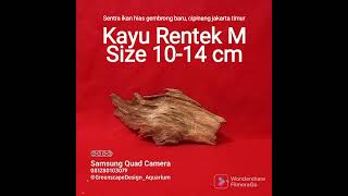 Download lagu Kayu rentek Aquascape mp3