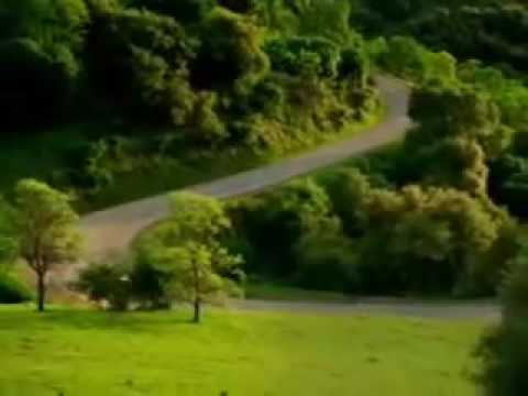 Voiture Fantôme (attention screamer!)