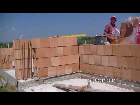 BIBI din BACIA si primele 3 randuri de bolatri.