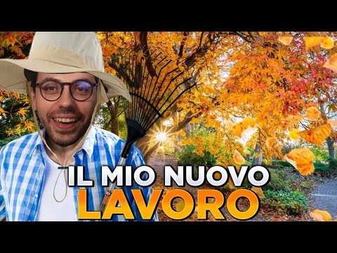 FINALMENTE HO UN LAVORO VERO