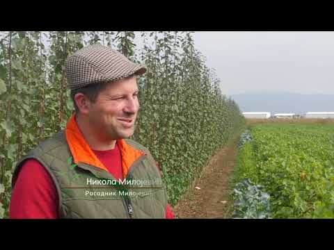 Svet rasadnika ep. 44 15.01.2022. Rasadnik "Milojević"