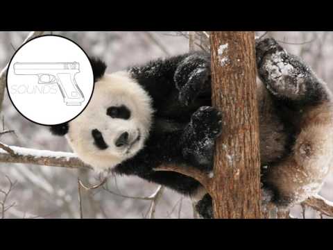 Vegard - INeedToHurryBackIn