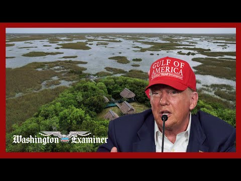 Trump vetoes law expanding Miccosukee tribe’s territory after its opposition to ‘Alligator Alcatraz’