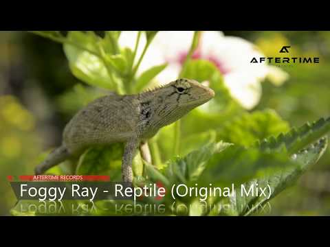 Foggy Ray - Reptile (Original Mix) PREVIEW [ATR10] [AFTERTIME Records]