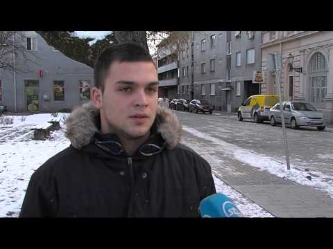 0209 DN ANGLIZMI U HRVATSKOM JEZIKU DNEVNIK