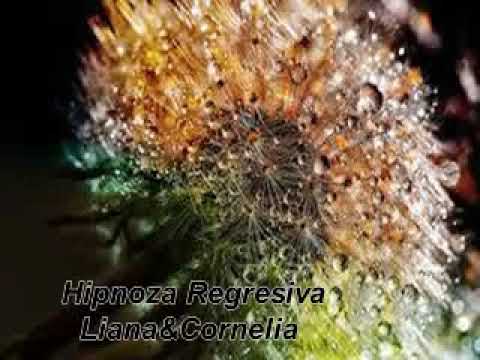 Hipnoza Regresiva 180 Alejandro copilul papadie