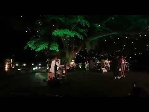 PRISCILA SENNA -A NOITE EU CHORO