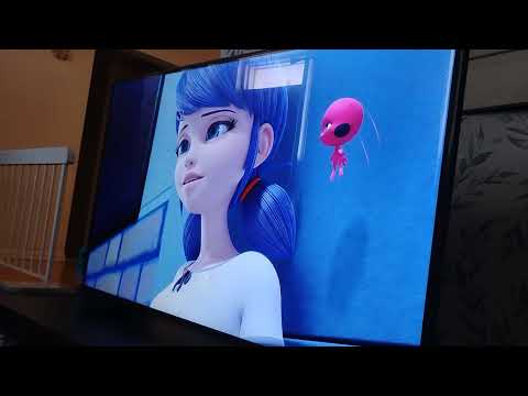 Portuguese miraculous world paris S.B. C.N vasamiki moco lucana Vs line wrencher grave gratter 