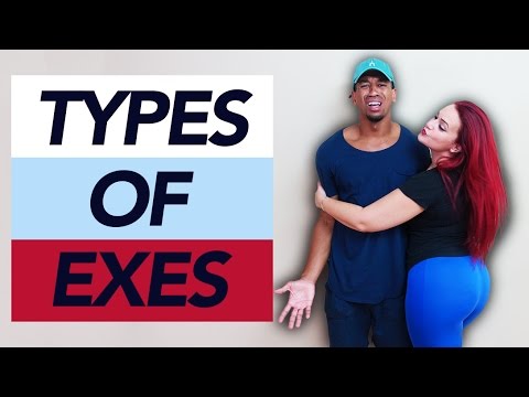 TYPES OF EXES Video