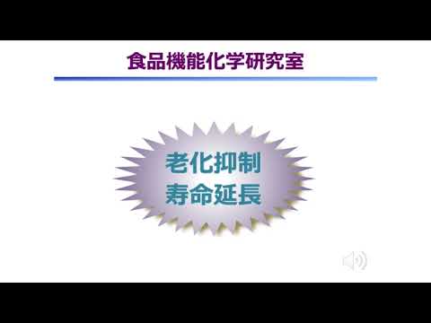 【山口大学OC2025／農学部／生物機能科学科】4 食品機能化学分野