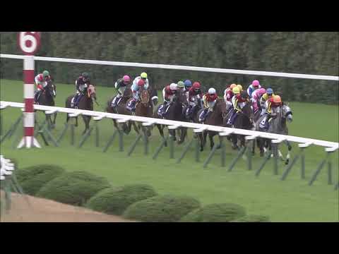 2018 Mile Championship (G1)