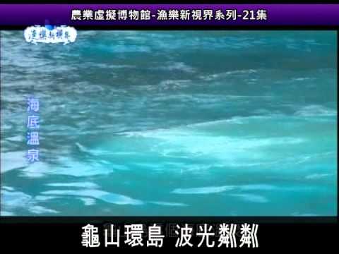 漁樂新視界系列 東海岸鯨豚奇幻之旅