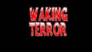 Waking Terror - Texas Punx
