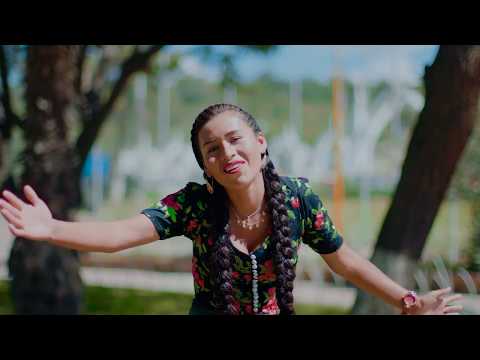 Los Felidos │Caldito de cardan│ Primicia 2020 - Tito Films☑️