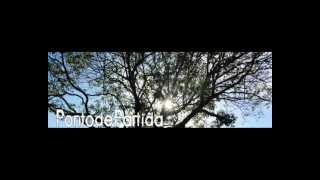 Ponto de Partida - Espera