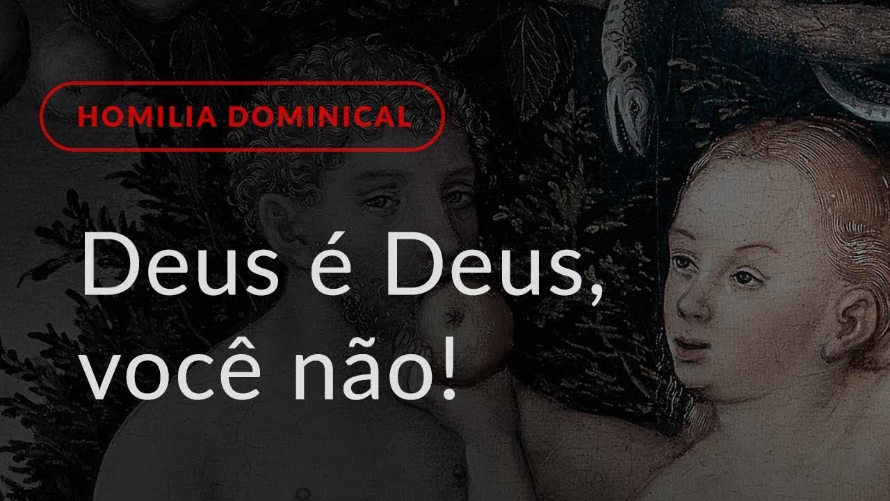 Deus é Deus, você não! (Homilia Dominical.473: 27.º Domingo do Tempo Comum)
