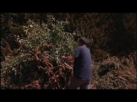 Israel's Water Crisis - Land Of Promise