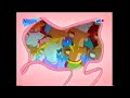 Nick Jr Angelina Ballerina UK 2004 Promo Jaden Groves Style