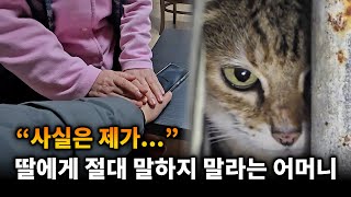 고양이 버린 엄마...