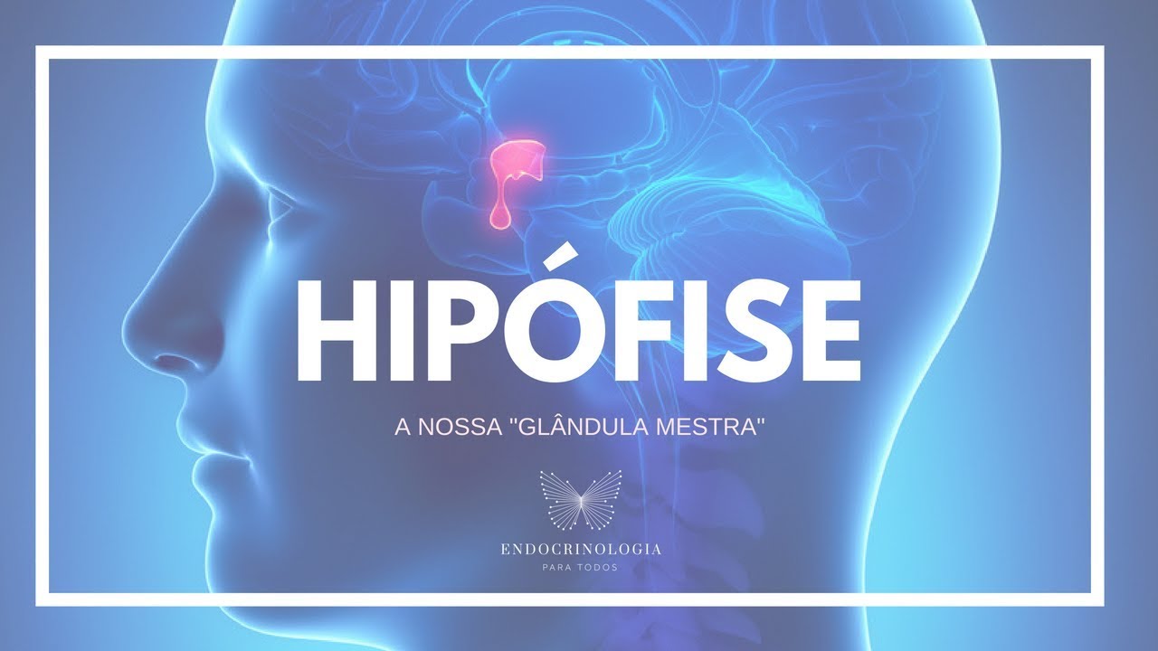 HIPÓFISE - Suas funções e principais doenças