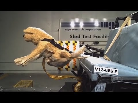 Crash Test For Dogs Video