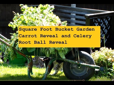 download lagu mp3 mp4 Blais Flower Shop, download lagu Blais Flower Shop gratis, unduh video klip Blais Flower Shop