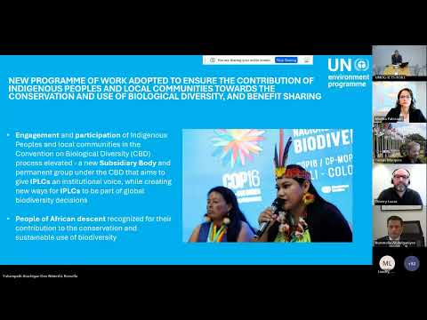 Webinar on integrating biodiversity into UN Common Country Analyses and Coordination Frameworks
