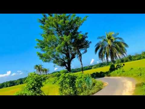 Abdul hamid ad nature view