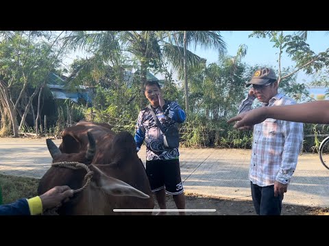 BIRTHDAY SHOPEE DELIVERY | 3 Kings Official